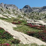 ValleMeraviglie_Giraudo